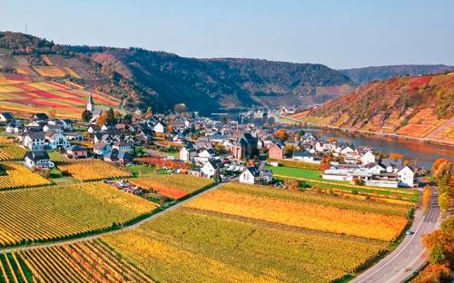 德国葡萄酒文化被正式列入世界非遗名录