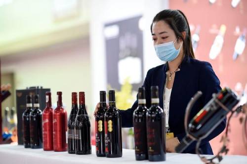 首届中国（宁夏）国际葡萄酒文化旅游博览会开幕