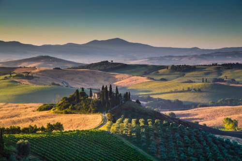 意大利成为优质葡萄酒市场的主导力量