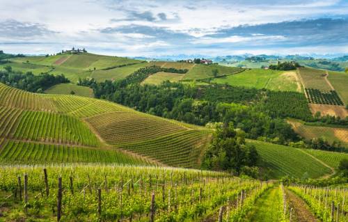 2021年意大利葡萄酒产量预计下降9%