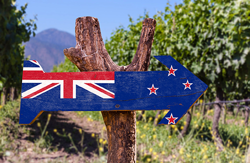 2021年新西兰葡萄酒充满挑战但需求很大