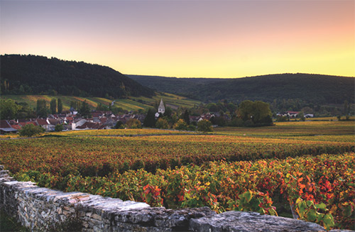 勃艮第葡萄酒行业协会警告未来一年将面临挑战
