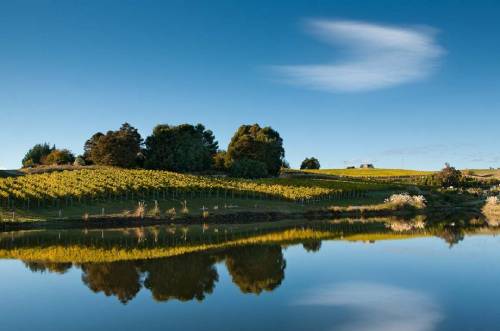 新西兰葡萄酒行业致力于实现碳中和