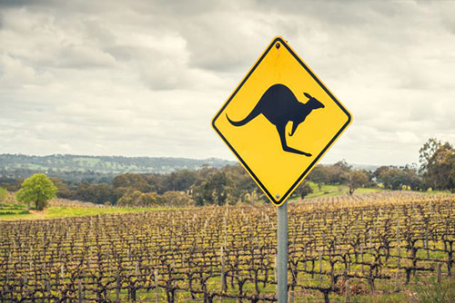 过去12个月澳大利亚葡萄酒出口额下降26%