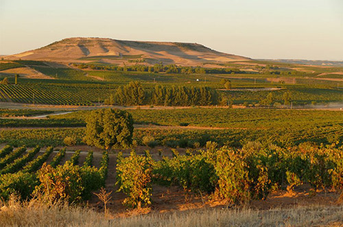 杜埃罗河岸产区（Ribera del Duero）