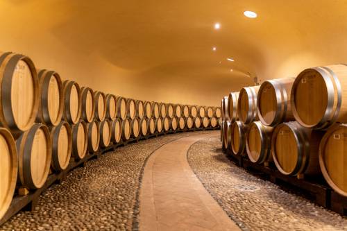 意大利葡萄酒品牌鲁芬诺酒庄重新设计LOGO及酒标