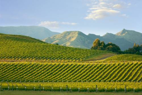 新西兰葡萄酒行业欢呼与欧盟达成自由贸易协定