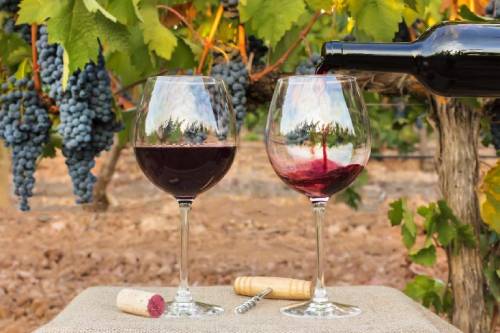 博若莱葡萄酒在其最大市场的销量将大幅下降